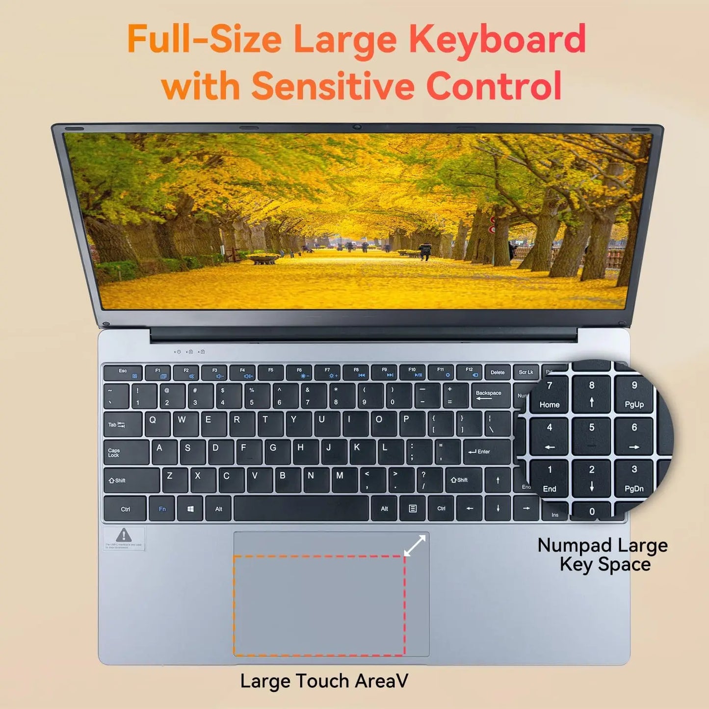 Notebook 15.6 Inch Laptop Windows 11 1366 * 768 Cheap Portable Intel Celeron N5095 Quad-Core Processors Laptop 8 RAM 256GB ROM
